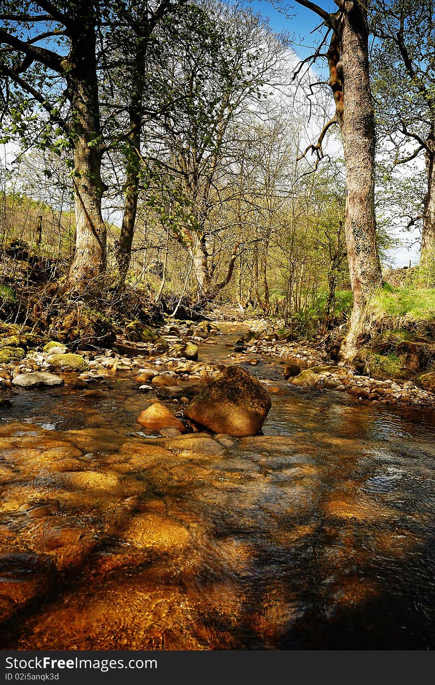 Reflections in the stream