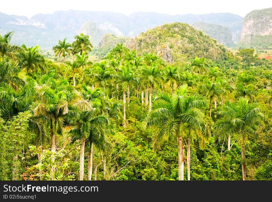 View of Vinales valley, Cuba