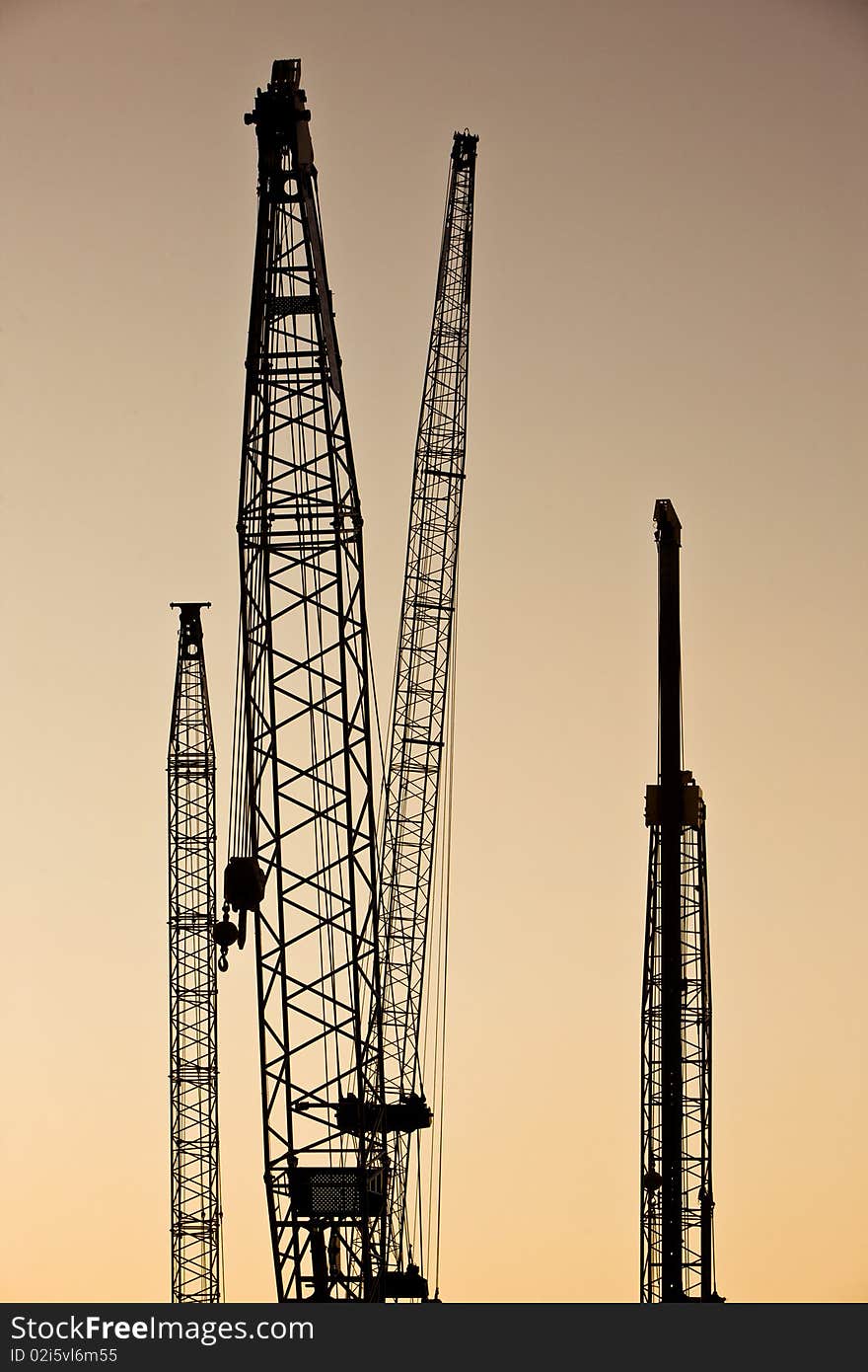 Cranes  set against a warm color sky