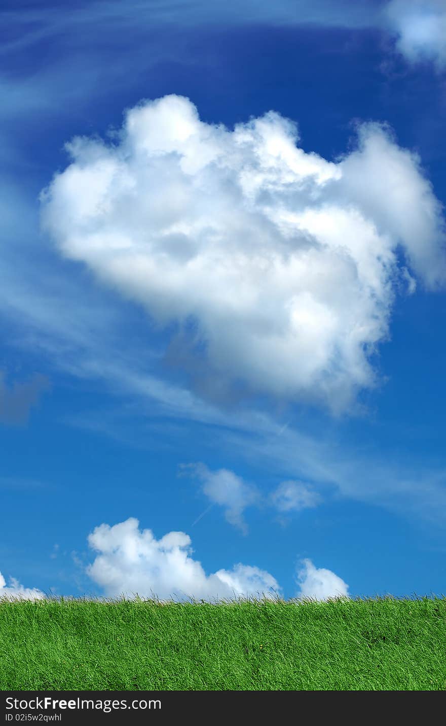 Green field and blue sky with white clouds. Green field and blue sky with white clouds