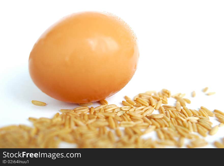 Closeup view of egg and wheat grain isolated on white background