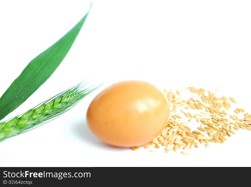 Closeup view of wheat ears and wheat grain with an egg isolated on white background. Closeup view of wheat ears and wheat grain with an egg isolated on white background