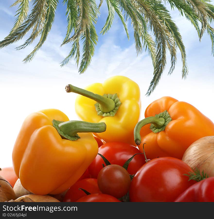 Image Of Different Fresh And Tasty Vegetables