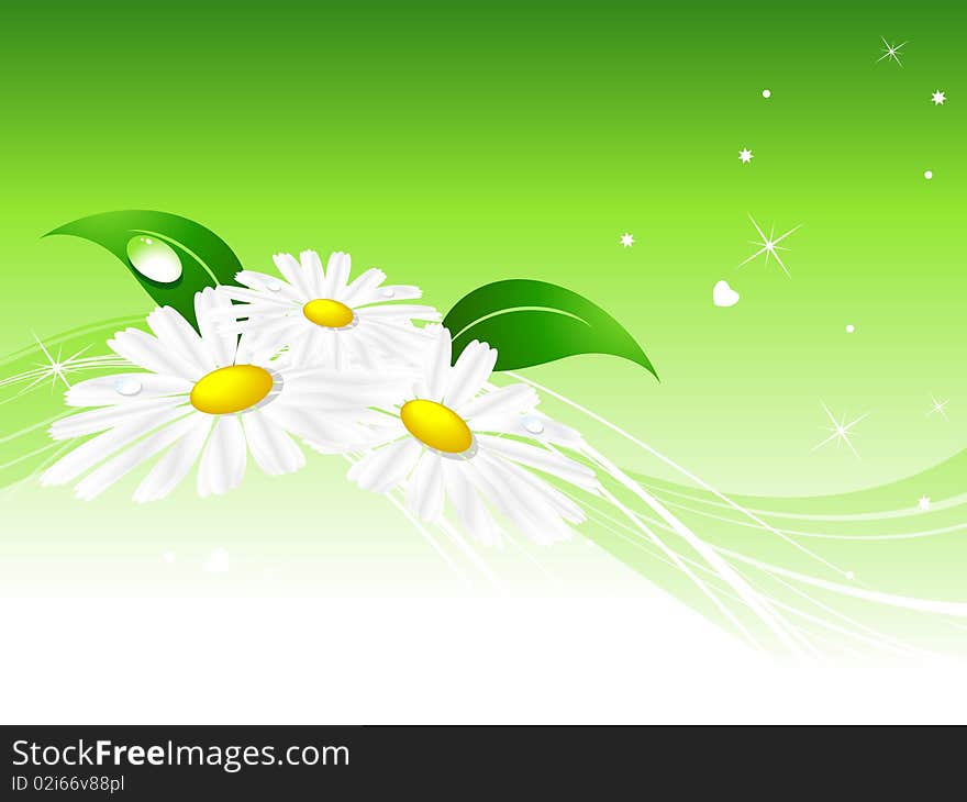 Abstract summer background with chamomiles