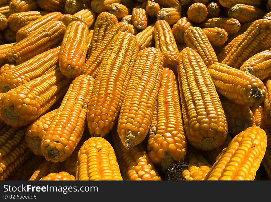 Corncobs