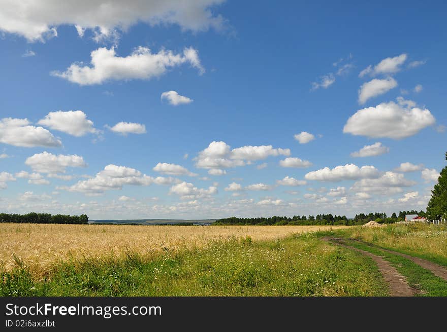 The cloudy sky over a field. The cloudy sky over a field.