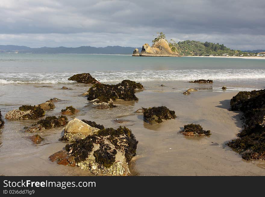 Rocky shoreline at Whangapoua looking across to Pungapunga Island. Rocky shoreline at Whangapoua looking across to Pungapunga Island