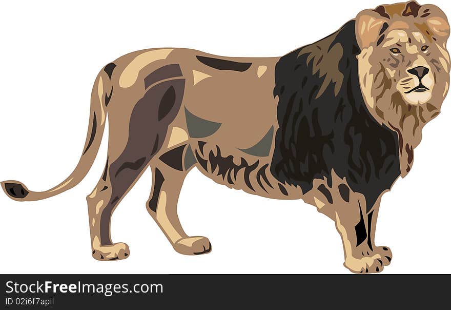 King of beasts - lion