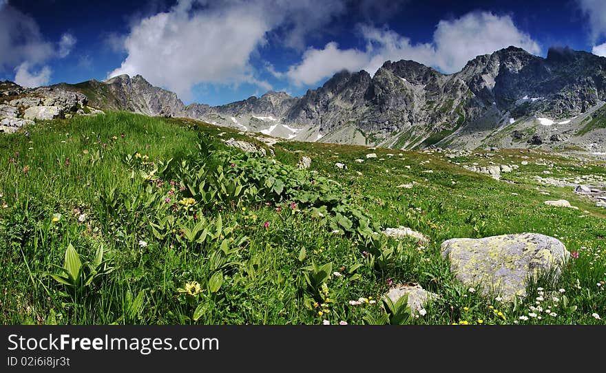 Spring in mountains