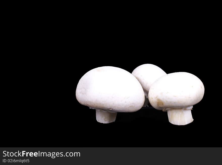 Three champignons isoated on black. Three champignons isoated on black