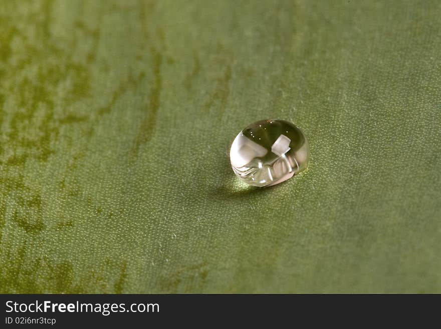 Water drops on a green background