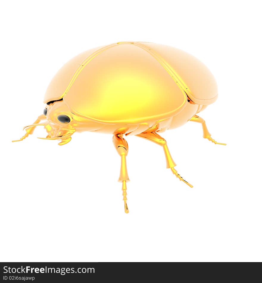 Golden Bug