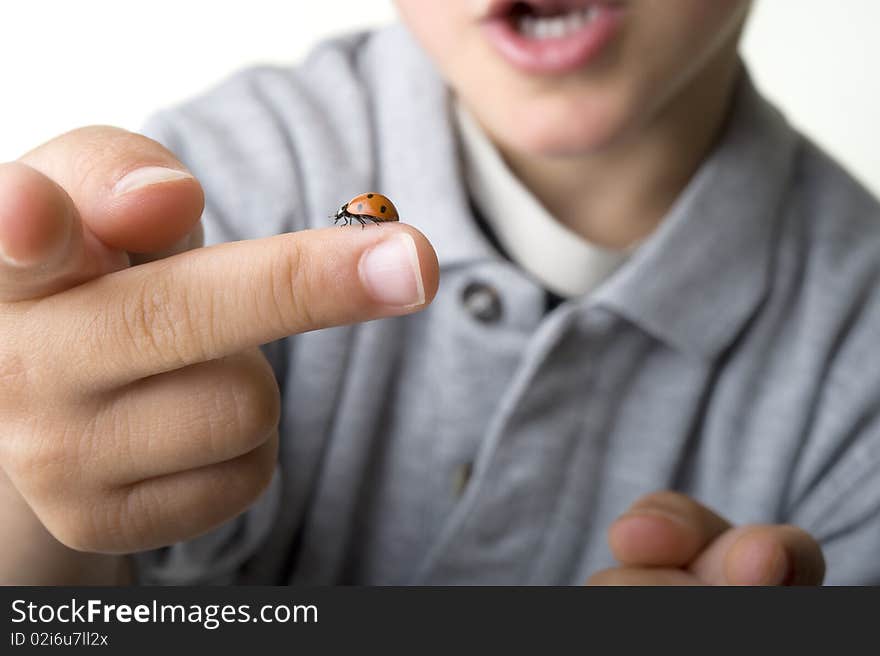 Boy with ladybug on finger