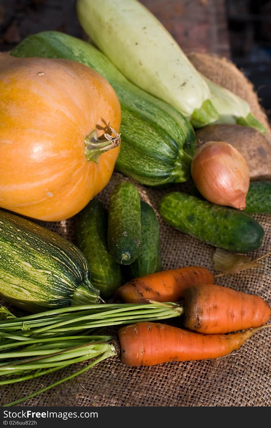 Autumnal still life with different vegetables on the wall background. Autumnal still life with different vegetables on the wall background