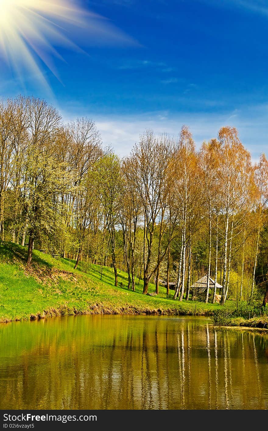 Beautiful sun above spring grove and pond by spring. Beautiful sun above spring grove and pond by spring.