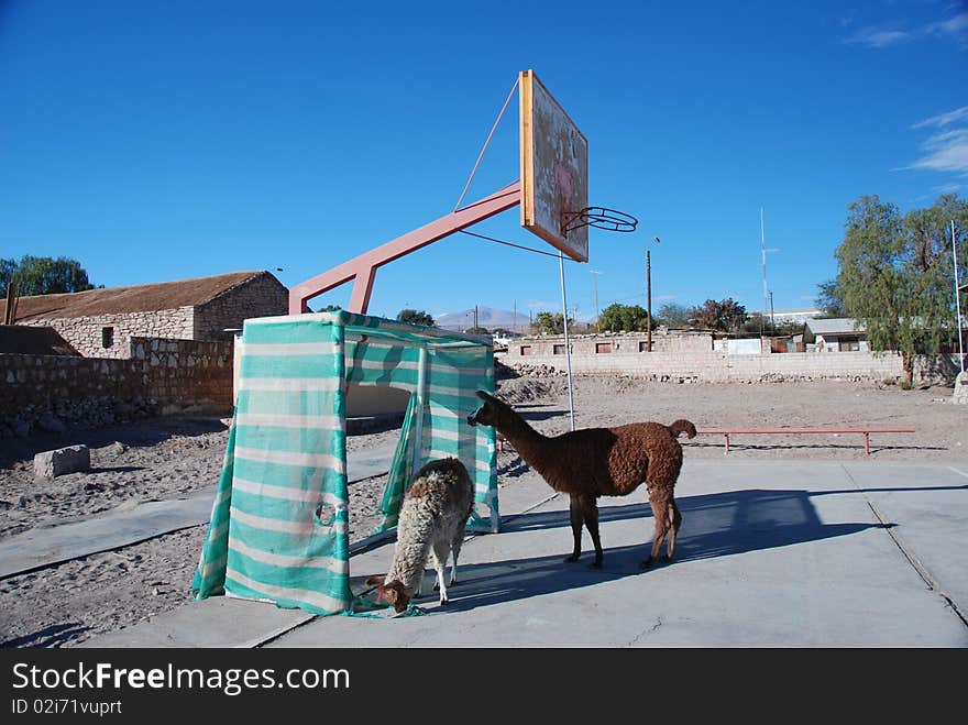 Small Chilean village basketball court