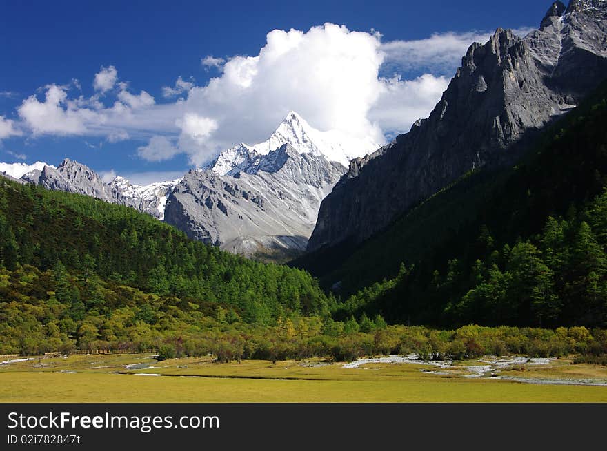 Mountain Yangmaiyong