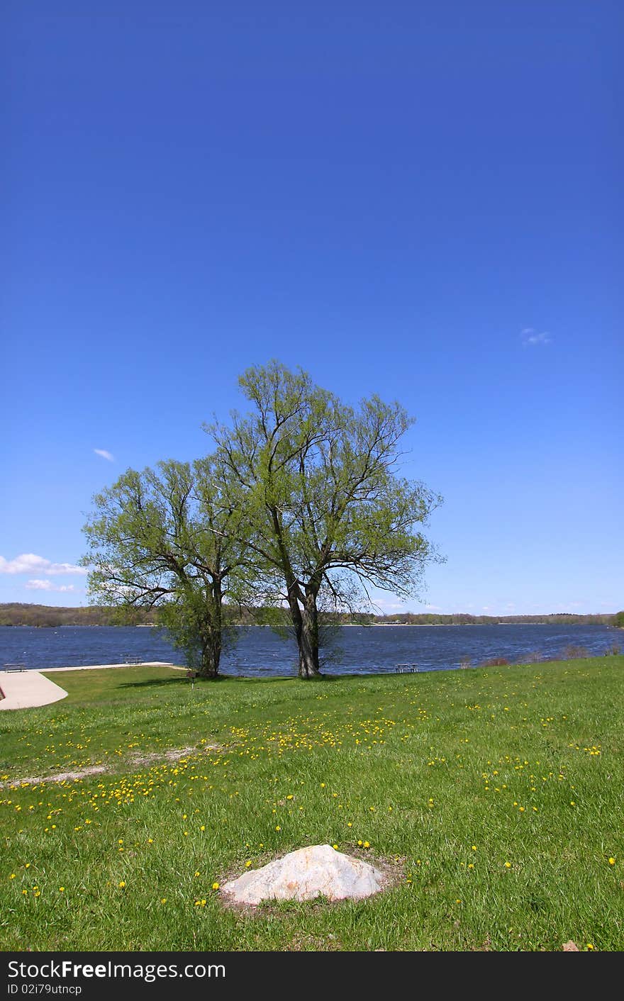 Scenic landscape in spring time