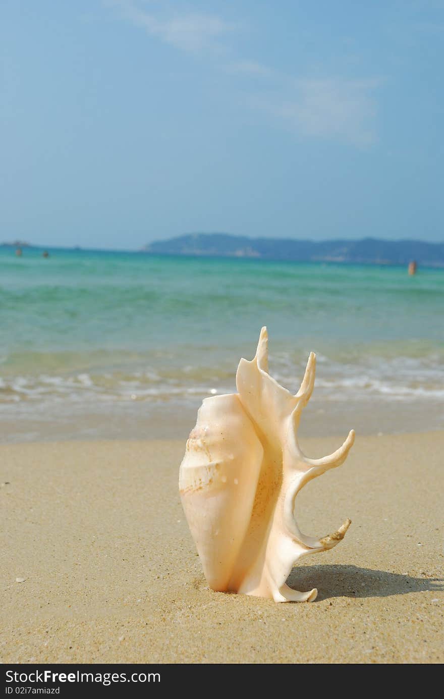 Placed on the beach on the Nautilus. Placed on the beach on the Nautilus