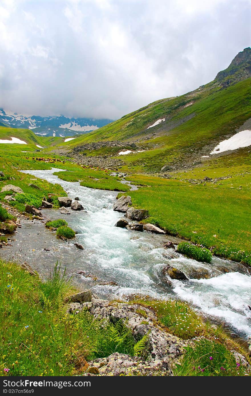 River in spring season in mountains