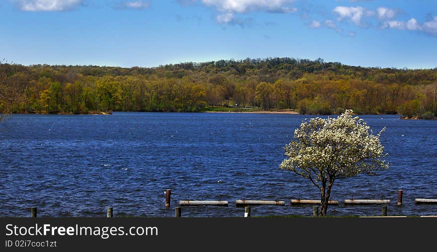 Scenic lake shore