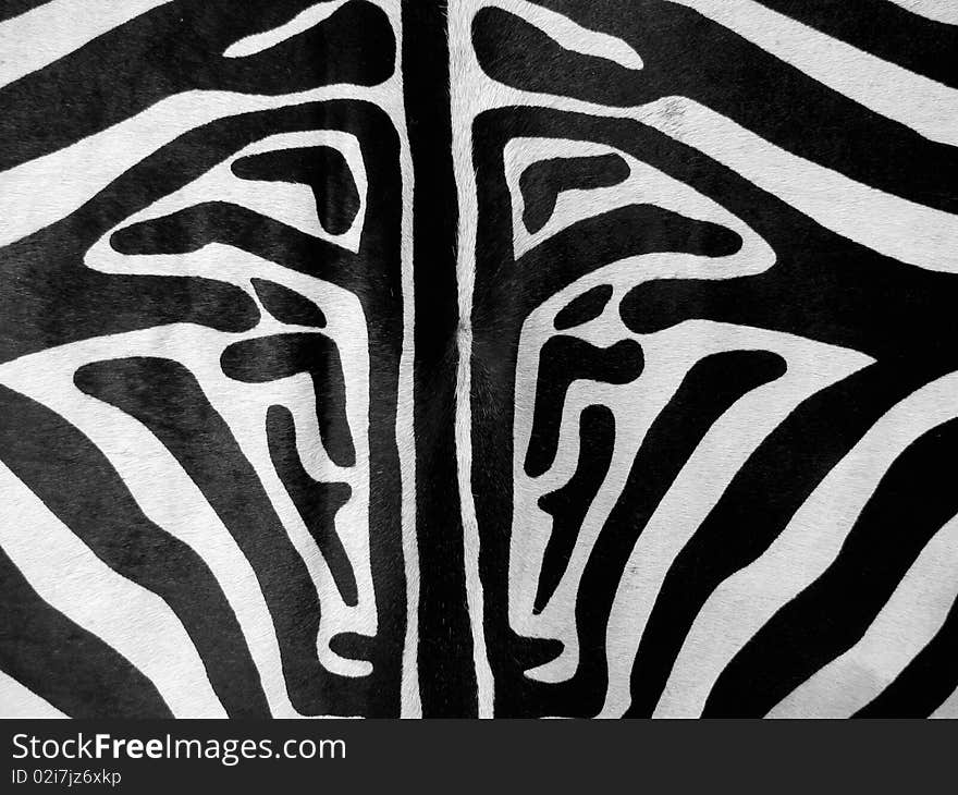 Zebra texture-white and black