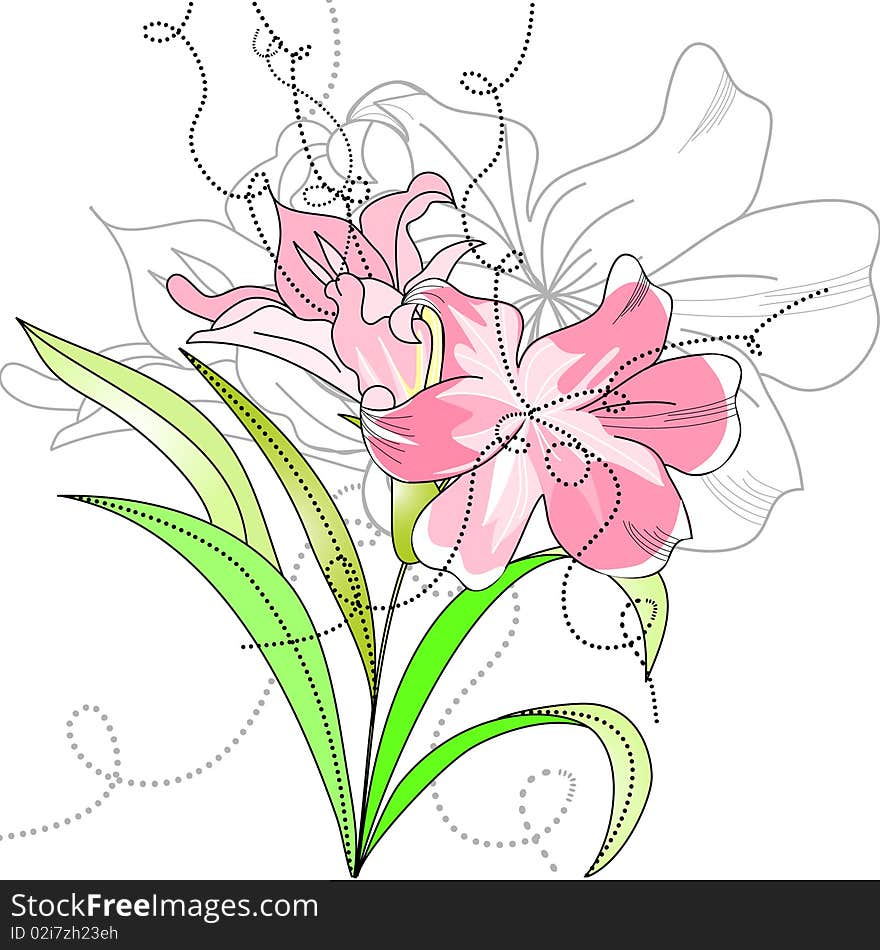 Lily flowers. Universal template for greeting card, web page, background