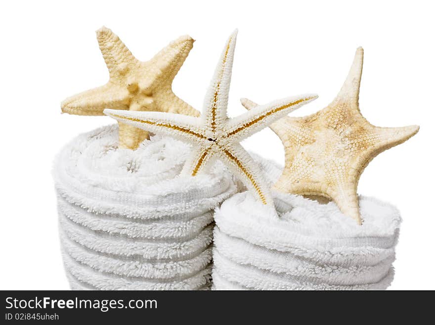 Towel and shells on white background