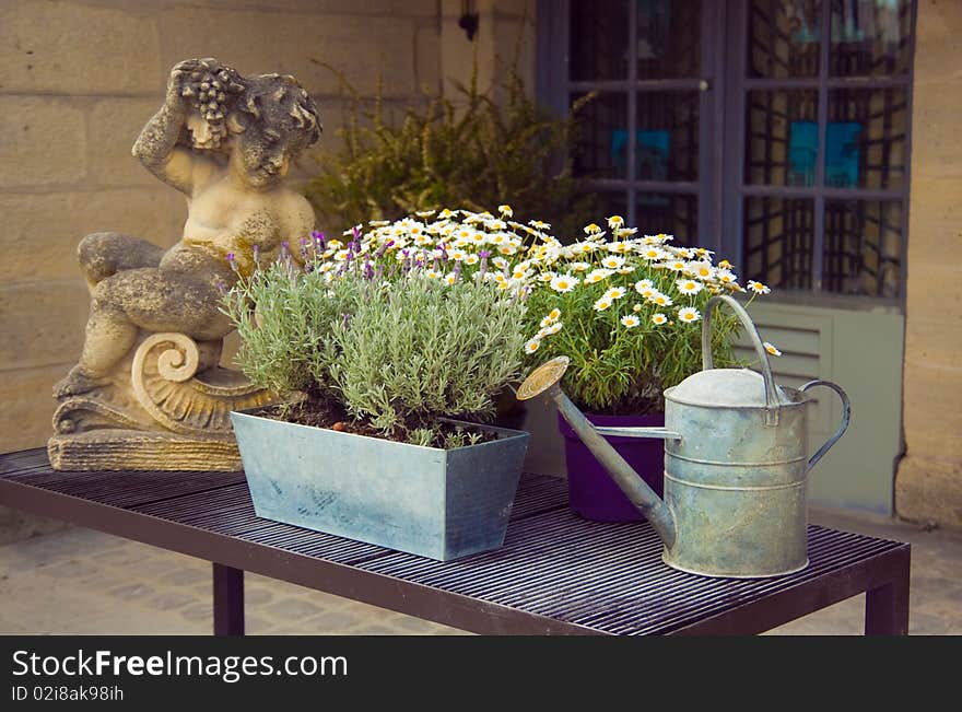 Flower composition with watering can. Flower composition with watering can