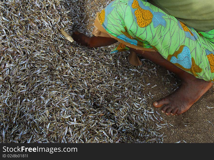 Fish ones in a market in Africa