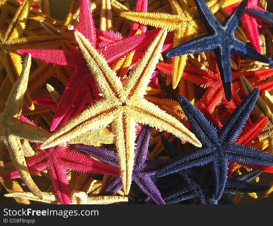 Different starfish on a harbour in Spain