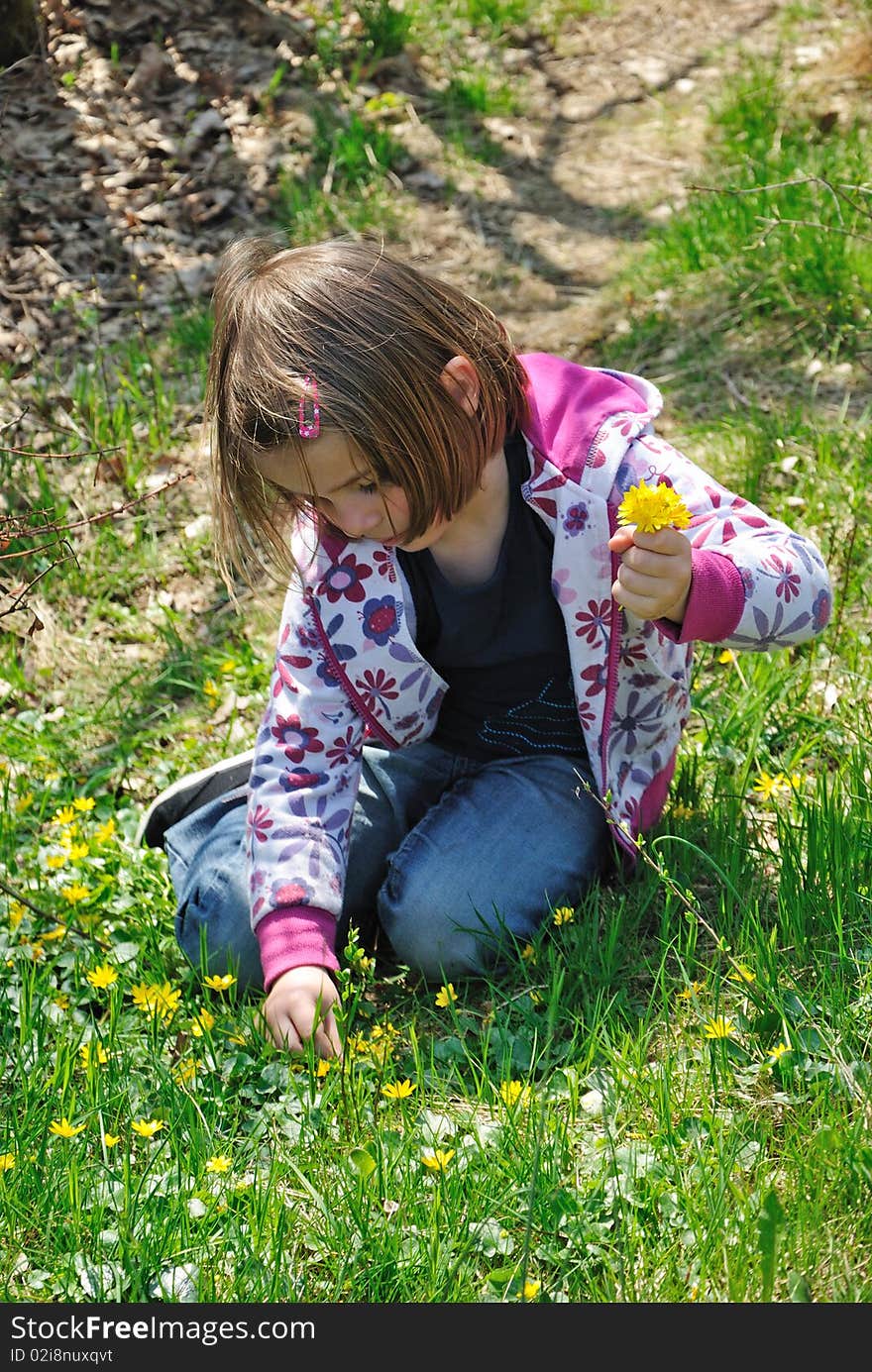 Cute girl picking spring flowers. Cute girl picking spring flowers