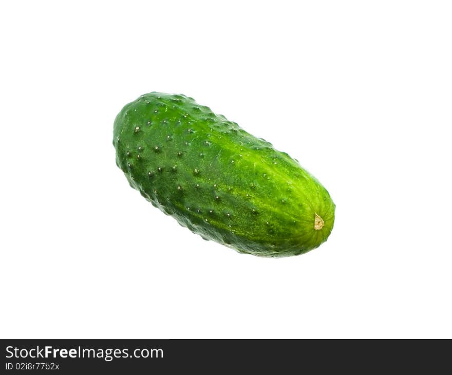 Cucumber close-up