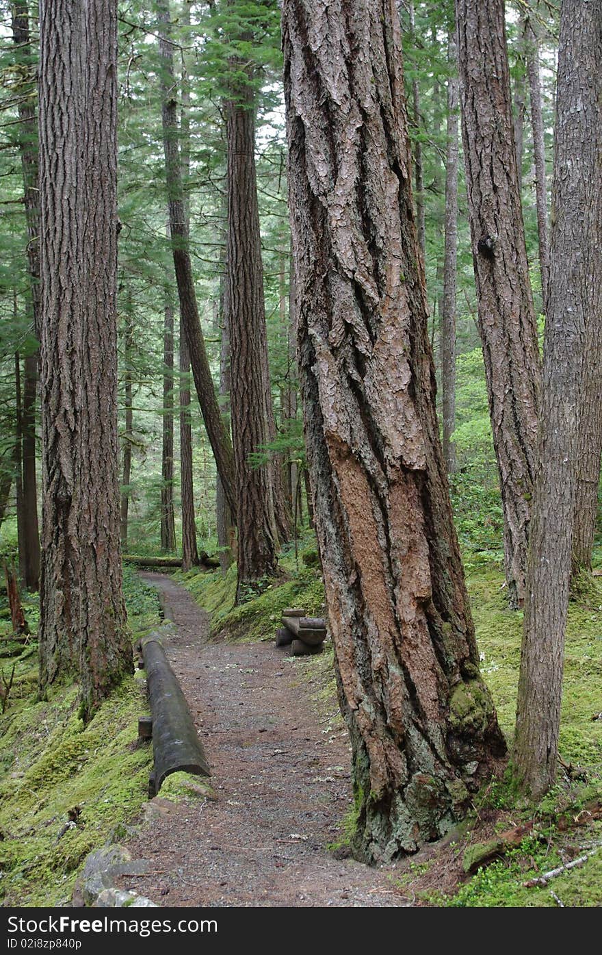 North Cascades National Park