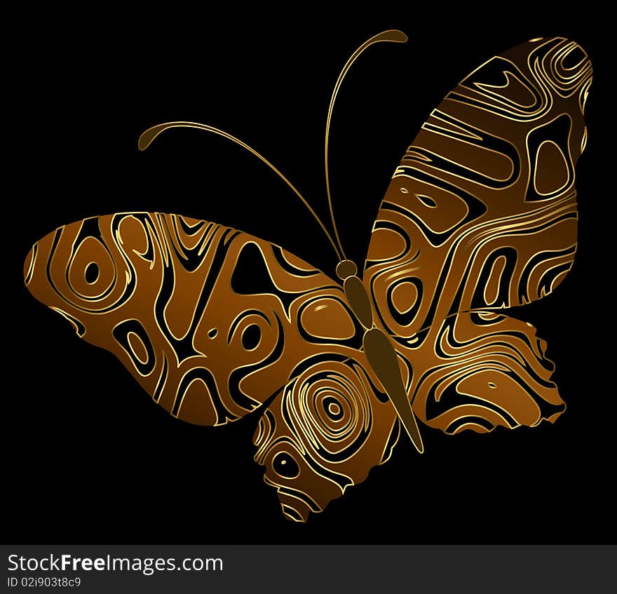 Tropical Butterfly