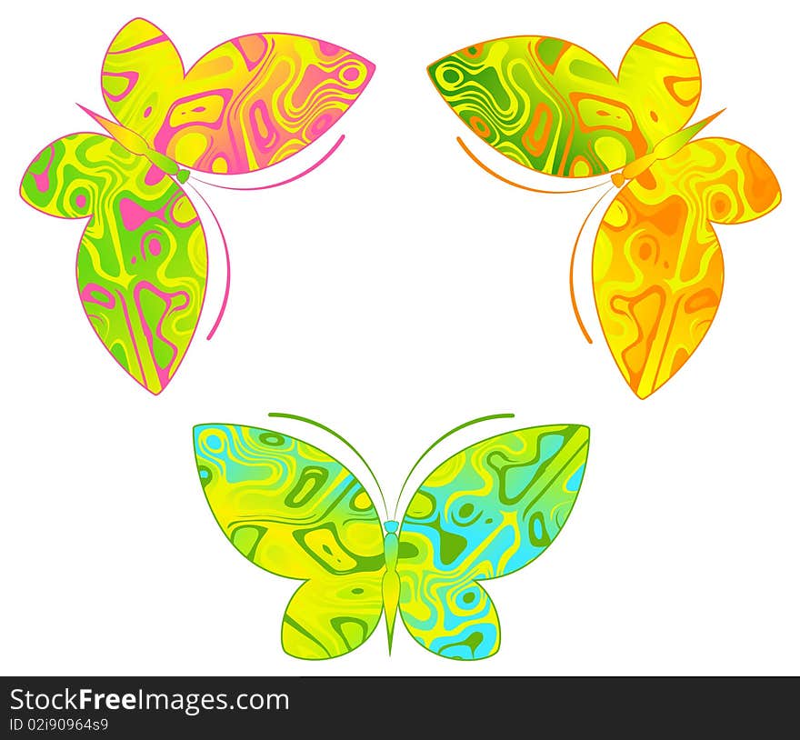 Tropical Butterfly