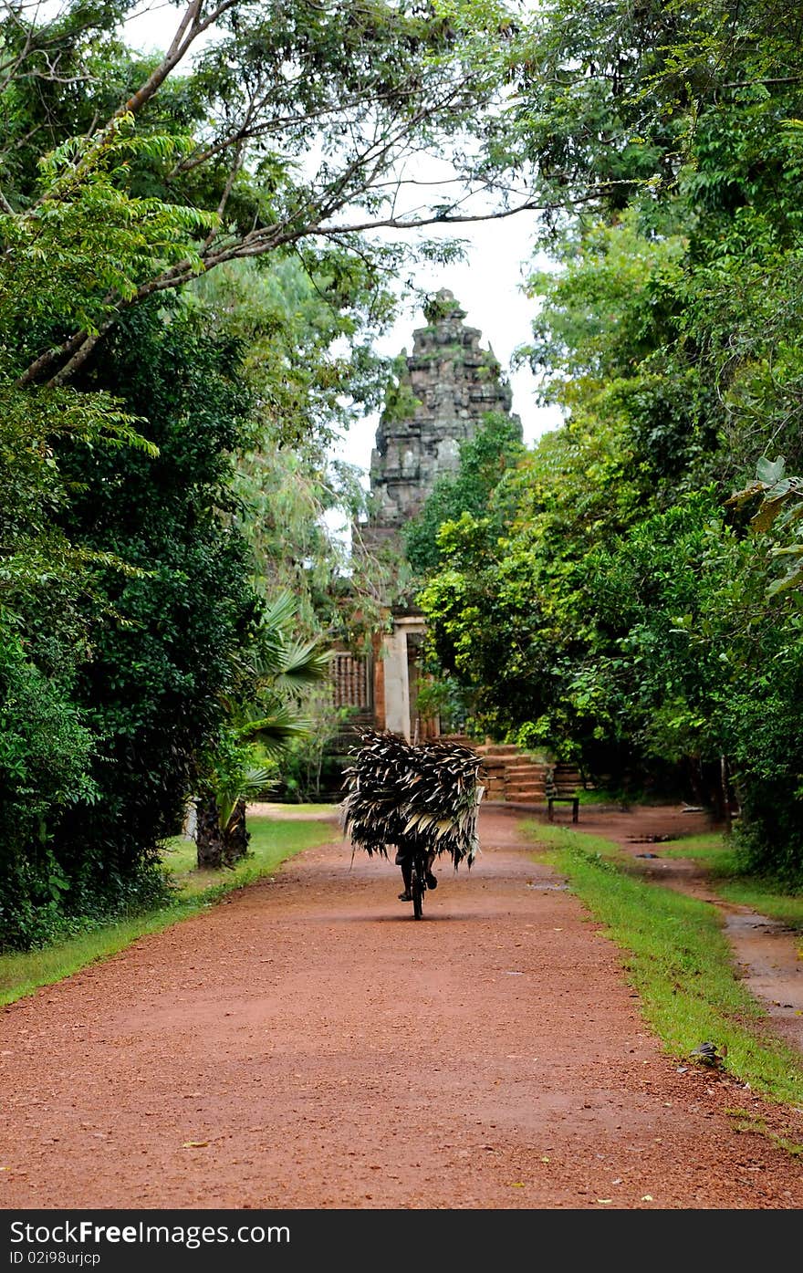 Secondary road path with green trees, Cambodia