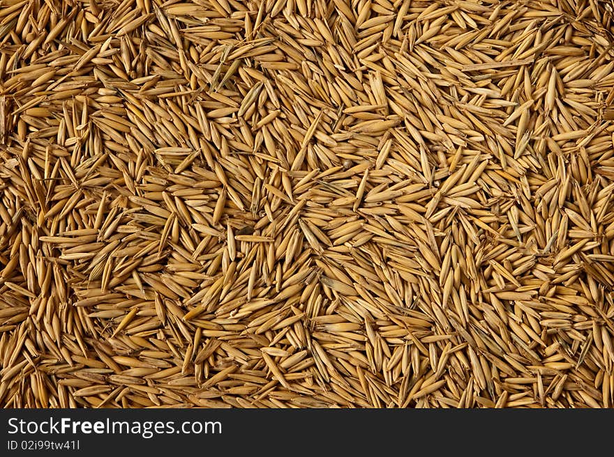 Background of dry yellow seeds. Background of dry yellow seeds