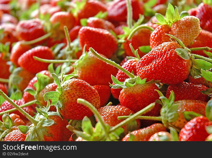 Group of strawberry