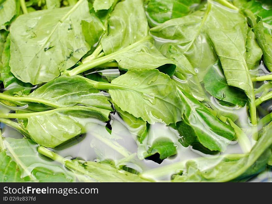 Green leafy vegetables in water