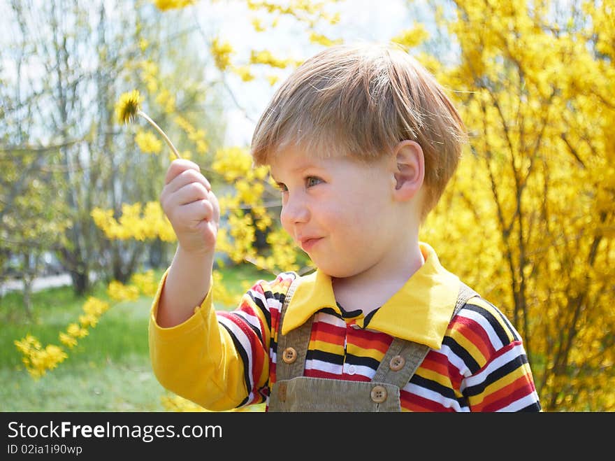 The little boy with a yellow flower. The little boy with a yellow flower