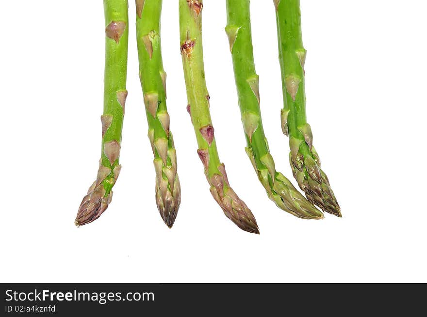 Young asparagus