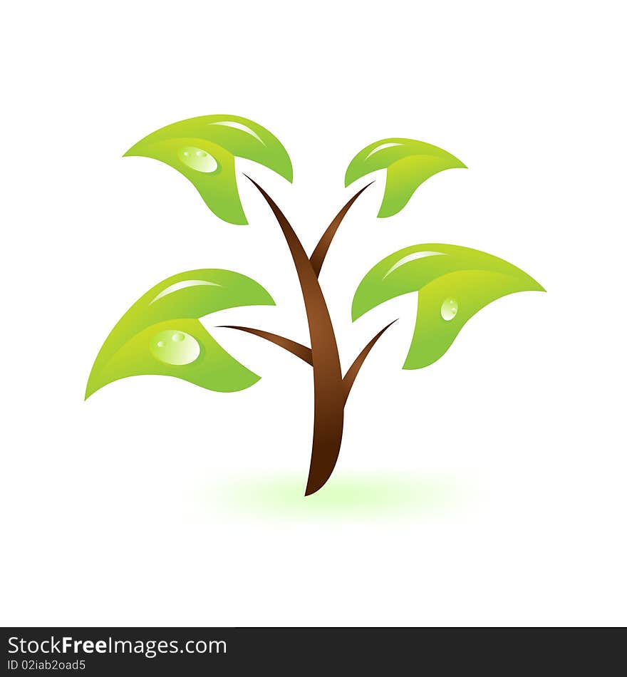 Green branch on white. Environmental icon