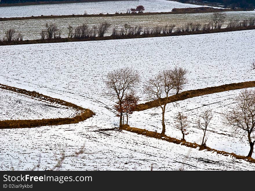 Landscape at winter in Northern Germany