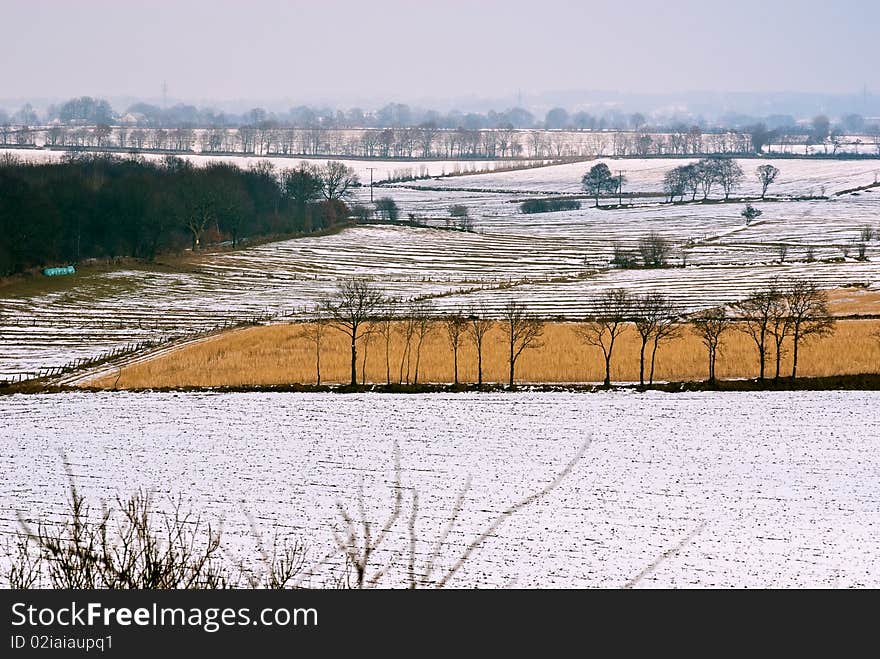 Landscape at winter in Northern Germany