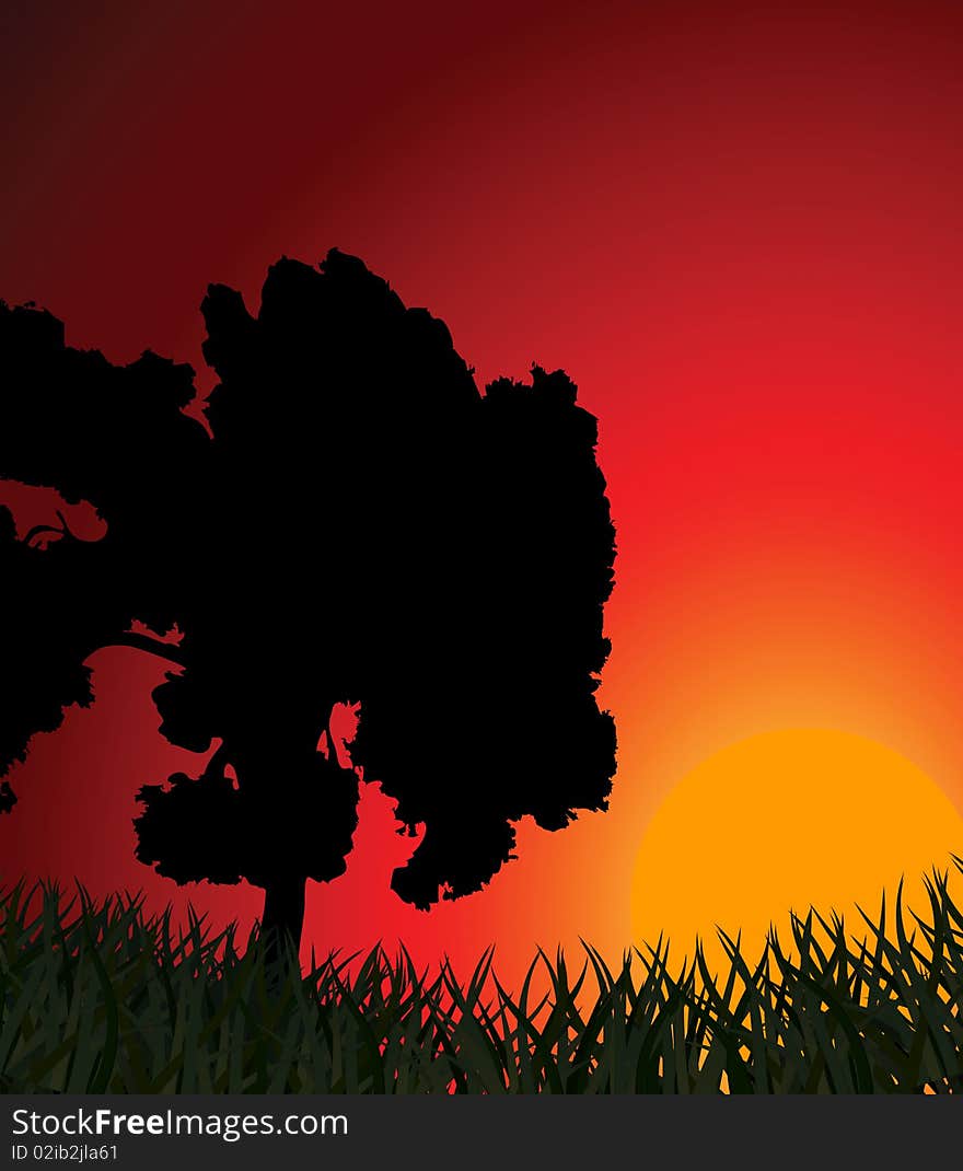 Silhouette of a tree against a sunset