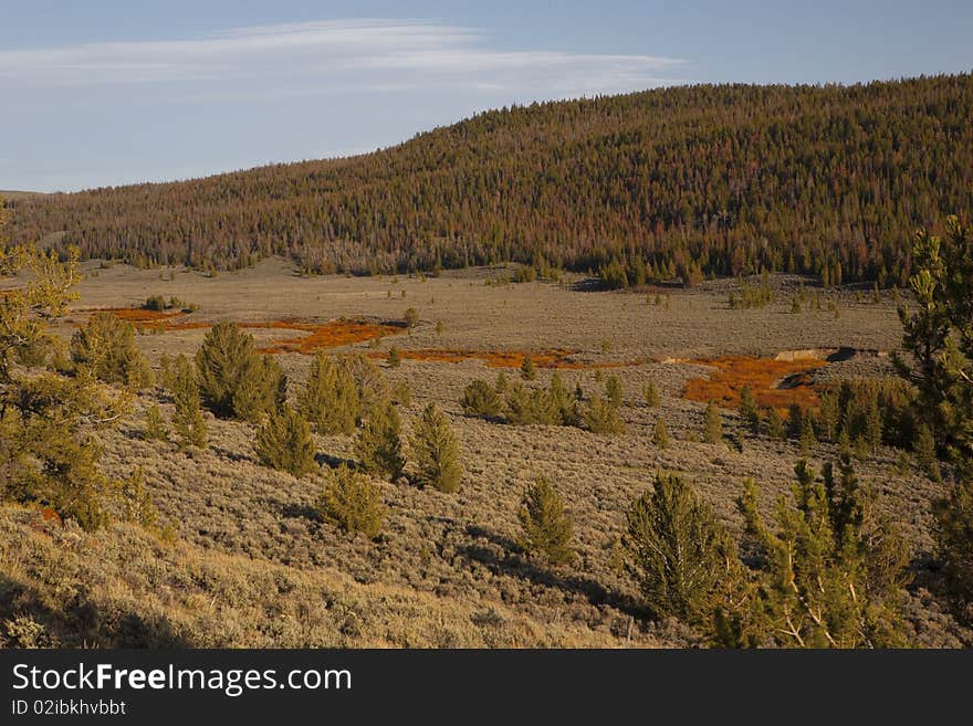 River in the middle of the valley in Wyoming, near Dubois withe great colors. River in the middle of the valley in Wyoming, near Dubois withe great colors