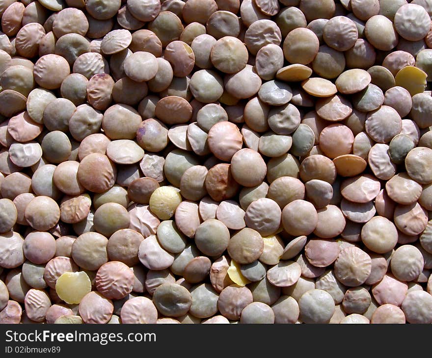 Lentils Legume Texture