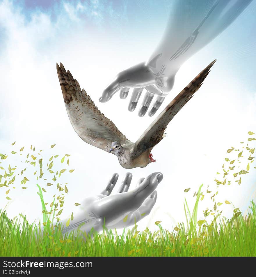 Hands catching dove for peace symbol 3d illustration