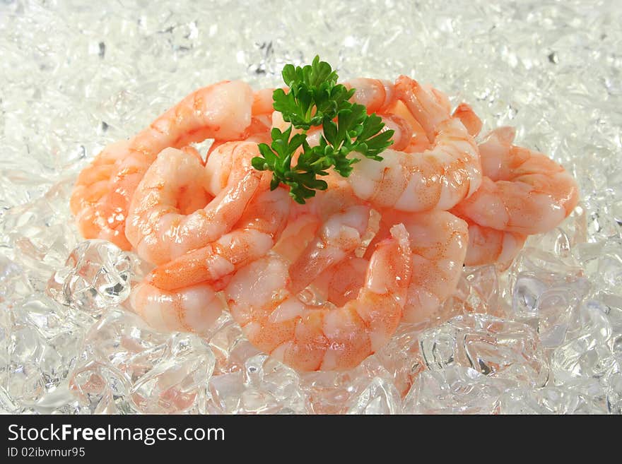 Many fresh, raw shrimp and parsley on ice. Many fresh, raw shrimp and parsley on ice